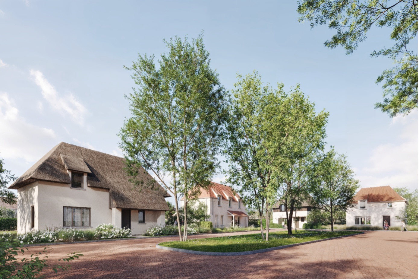 Afbeelding11